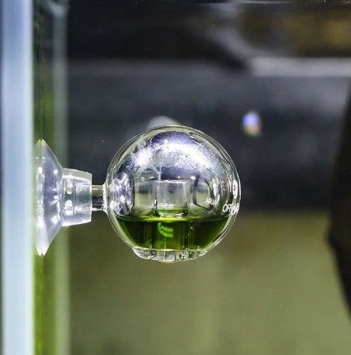 AQUAPRO CO2 Cam İndikatör Küresel