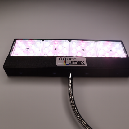 AquaLumex Aqua Cube Plus