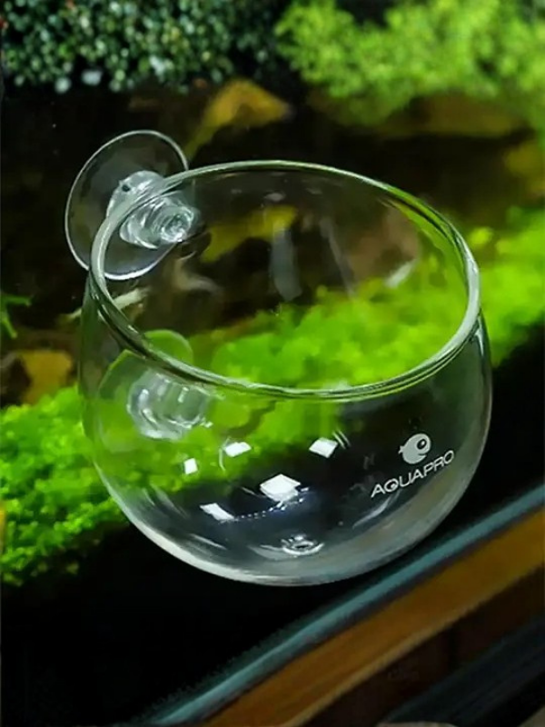 AQUAPRO Glass Plant Pot Cam Bitki Saksısı