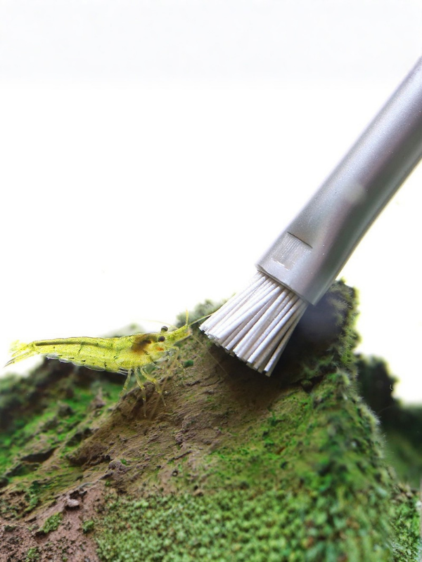 AQUAPRO Algae Brush Hard 15 cm