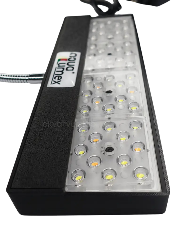 AquaLumex Aqua Cube Plus