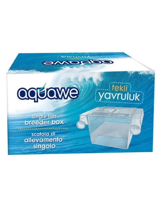 Aquawe Tekli Yavruluk