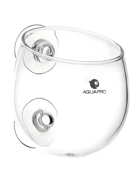 AQUAPRO Glass Plant Pot Cam Bitki Saksısı