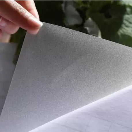 Şeffaf Akvaryum Folyosu